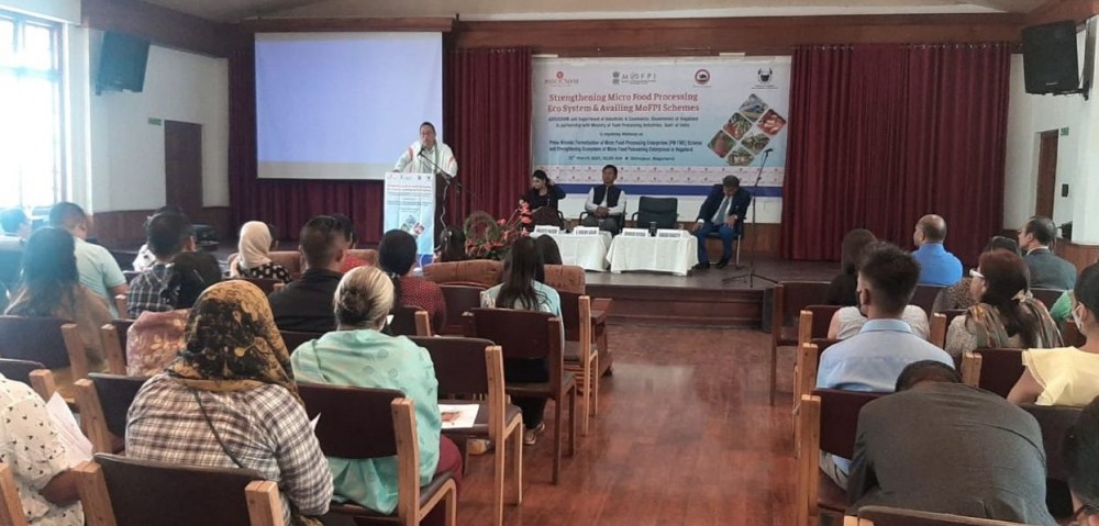 An official addressing the workshop held at Niathu Resort, Dimapur on March 12. (DIPR Photo)